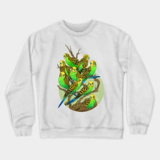 Green and Gold Budgies Crewneck Sweatshirt